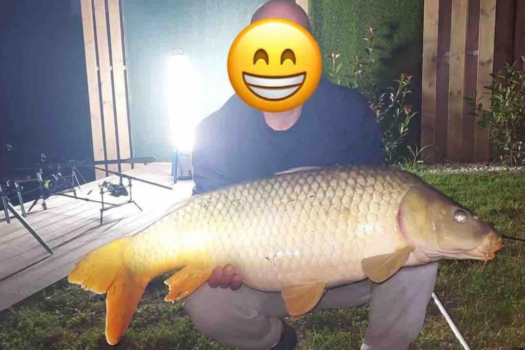 Domeglamping At Fishinglake Sagvar Exterior foto